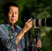 类似于糖心直播的app-多元化内容，各取所需